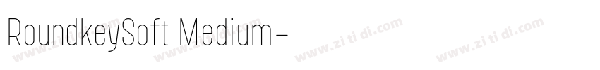 RoundkeySoft Medium字体转换